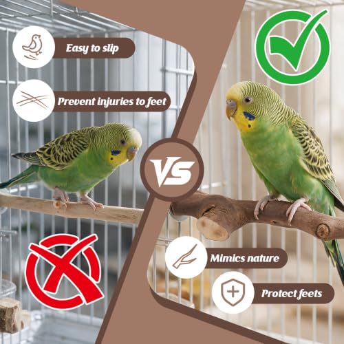 5PCS Bird Perch Stand Natural Wooden Parrot Stand Branch,3 Grape Wood Perch,2 Stand,Paw Grinding Fork Parakeet Chewing Stick Exercise Training Branches for Cockatiels,Small Medium Birds