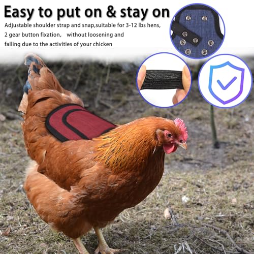 2pcs Chicken Saddle for Hens, Chicken Apron Clothes Hen Saddle for Chickens Adjustable Straps and Elastic Shoulder Suit Medium and Large Hens, Red