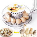 Egg Incubators for Hatching Eggs Chicken Eggs Incubator for Hatching Eggs Incubator with Automatic Egg Turner and Temperature Control for Chicken, Duck, Quail 12 Eggs