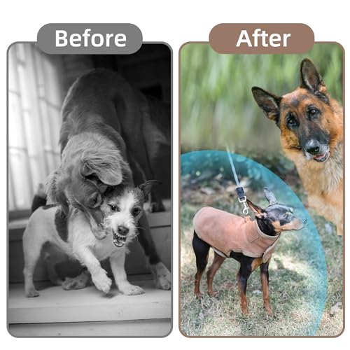Dog Protection Vest - The Surface Layer of Genuine Leather (XS, Brown) | Dog Protection Ves Tough and Wear-Resistant, Protection Against Attacks by Coyotes, Hawks, Raptors, and Birds of Prey - size: XS