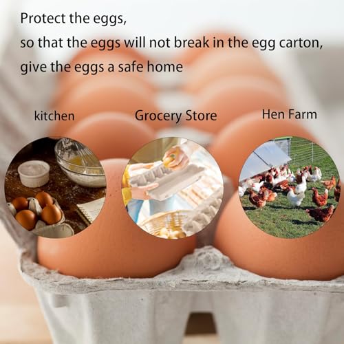 40 Pack Egg Cartons Cheap Bulk, 2x3 Style Reusable Egg Cartons Bulk | Empty Natural Paper Pulp Egg Cartons, Sturdy Design Egg Carton for Fresh Chicken Eggs
