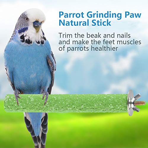 Hamiledyi Parrot Perch Stand Toy, Bird Cage Perch Toy,Natural Paw Grinding Stick for Small Parrots, Parakeets, Cockatiels, Lovebirds Chewing Stick(S)