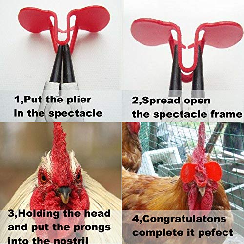 Weilan 50 Pieces Pinless Peepers for Chicken Poultry Blinders Anti Pecking | Pheasant Eye Glasses Spectacles Red Large Size No Plier