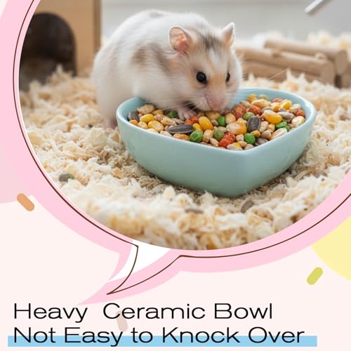 2 PCS Hamster Ceramic Food Bowl, Heart Hamsters Food Water Dish Anti-Turning, Ceramic Pet Bowls for Guinea Pig Gerbil Hedgehog Rat Rodent Bunny Parrots (Green, Blue)