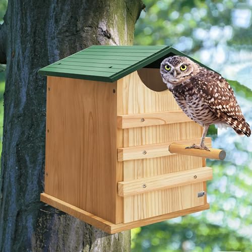 Screech Owl House 14 x 10 Inch, Cedar Wood Owl Box with Bird Stand Design, Owl Nesting Box with Mounting Screws and Wood Shavings - style: Bird Stand Design