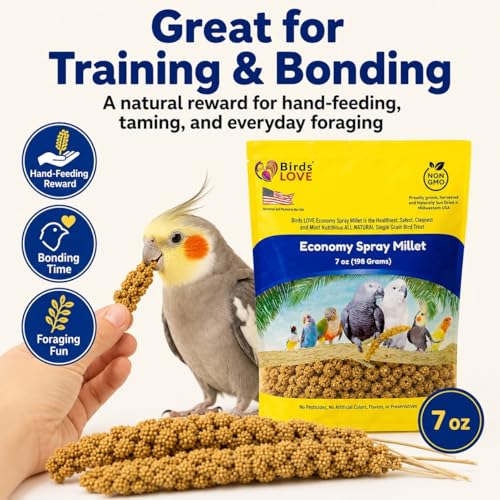Birds LOVE Economy Spray Millet for Birds, 7 oz, GMO-Free Natural Millet Spray Treat, Stem-Reduced Edible Tops, Grown in USA, for Parakeets, Cockatiels, Lovebirds, Finches, Canaries & Small Parrots