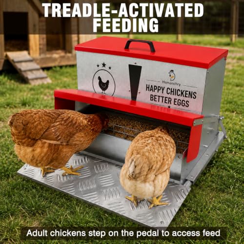 40 lb Automatic Chicken Feeder, Rat Proof Treadle No Waste | 40 lb treadle chicken feeder with visible window, galvanized steel body, no waste design, and weatherproof lid