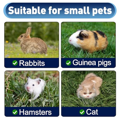 Rabbit Scratching Pad - Carrots, Natural Sisal Rabbit Pad for Claw and Teeth Care, Chewing, Sleeping and Nesting, Bunny Scratch Mat for Most Small Animals - Indoor & Cage