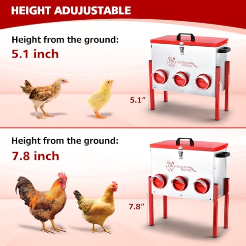Chicken Feeder, 6 Feeding Ports, 35lbs Capacity Metal Feed Box with Handle and Feeding Lid, Automatic Chicken Feeders No Waste