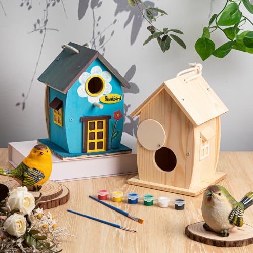 Liliful Wooden Bird House Kits, Build It Yourself Woodworking Kit for Adult Kids 4-8, 8-12 with Paint and Paintbrushes, Solid Weather Proof Natural Pine Wood, Pre Drilled(1 Pack,Rural Style) - style: Rural Style