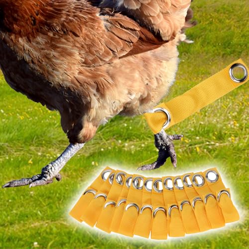 Yellow Tie Cord Hitches, Leash for Game Fowl, Chicken Strap for Poultry, Egg Homestead Strap Tie Cord, Leash for Game Fowl Birds Calsas para Gallos Hitch, Chicken Supplies Accessories (24)