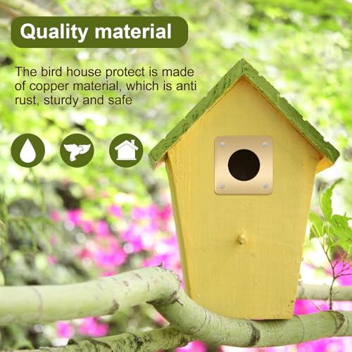Hotop 12 Pcs 1 1/8 Inch Opening Bluebird Metal House Hole Guard Portal Bird House Protect Bird Room Guard Copper Portal with Opening for Eastern Bluebird Rooms Sparrow Houses(Gold) - color: Gold, size: 1 1/8 Inch, style: Opening