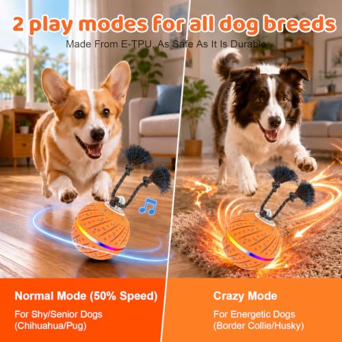 Smart Interactive Dog Toys Ball for Aggressive Chewers Medium Large,E-TPU | Auto-Moving & Bouncing Ball, 2 Modes with RGB Lights & Bird Sounds,Bite-Resistant Rope, IP54 Waterproof, Type-C Fast Charge