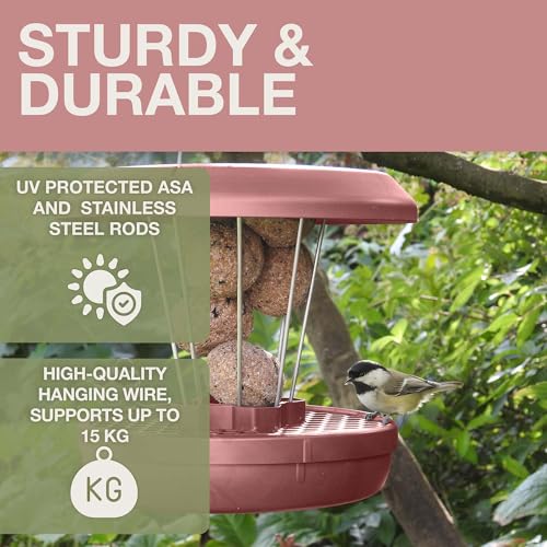 SWISSINNO Bird Feeders - No Mess Fat Ball/Suet Feeder for Outdoors Hanging - Smart Birds Lucerne Spill Proof Wild Cardinal Bird Feeder with Integrated Seed Catcher Tray - Dusty Rose - color: Dusty Rose, style: Lucerne