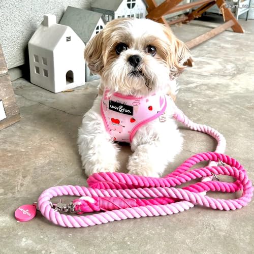 Cupid's Crush Hands-Free Rope Leash - color: Cupid's Crush Ombre Pink Hand