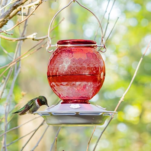 Crimson Comb Recycled Glass Hummingbird Feeder for Outdoor Décor, 16 Ounce Capacity Nectar Feeder, 4 Removable Easy Clean Ports, Red - style: Crimson Comb