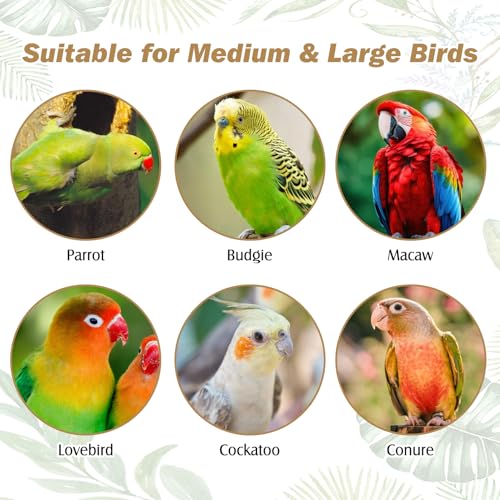 PINVNBY Natural Parrot Perch Grape Wood Bird Stand Pole Parakeet Paw Grinding Fork Chewable Climbing Branches Toy Bird Cage Accessories for Budgies Conures Cockatiels Lovebirds (2 PCS, 5.9IN) - size: 5.9in