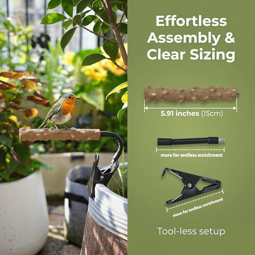 Bird Perch Stand with Clip, Adjustable Clip-On & Portable Parrot Stand, Natural Wood Bird Perch Training Stand for Cockatiels, Conures, Lovebirds and Medium & Small Parrots