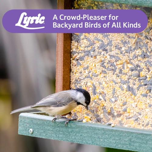 Lyric Wild Bird Mix - Includes Corn, Nuts, and Wild Bird Seed for Outside Feeders, Attracts Doves, Jays and Many More, 40 lb Bag | Includes corn, white millet, sunflower and safflower seeds and peanuts - Attracts Doves, Jays and many more