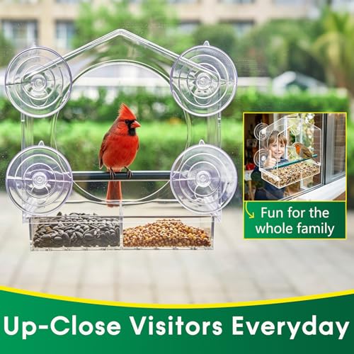 Clear Acrylic Window Bird Feeder for Outside - Transparent Glass Mount Birdhouse with Strong Suction Cups & Tray - Easy Indoor Viewing for Cats, Kids & Elderly