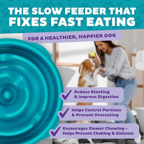 Outward Hound Fun Feeder Slo Bowl – Medium 2‑Cup Capacity,Slow Feeding,Small to Medium Dogs & Cats,Non-Slip,Turquoise,Drop Pattern,(Pack of 12) - color: Turquoise, size: Medium (Pack of 12)