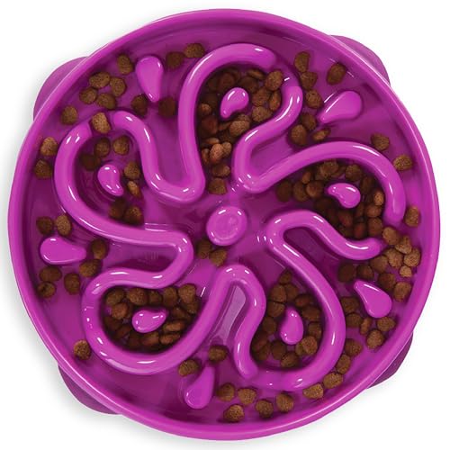 Outward Hound Fun Feeder Slo Bowl – Large 4‑Cup Capacity, Slow Feeding, Medium to Large Dogs, Non‑Slip, Purple, Flower Pattern - color: Purple, size: Large