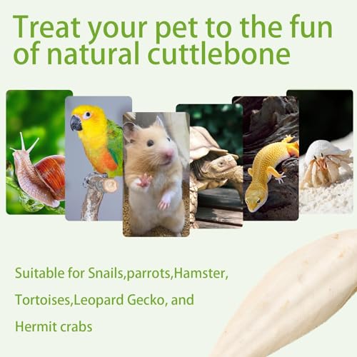 3.5"-4" Cuttlebone for Birds,Parakeets Cuddle Bone Beak Trimming,Premium Calcium Natural Cuttlefish Bone for Parrot,Cockatiel,Budgie,Tortoise, Snails,Reptiles,12 Pcs