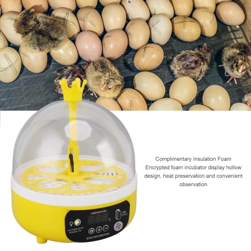 Luqeeg Mini Egg Incubator, Temperature Control Digital Incubators, 4 Eggs Candler Poultry Hatching Machine Eggs Poultry Hatching Machine for Chickens Ducks Pigeons (Auto Turning)