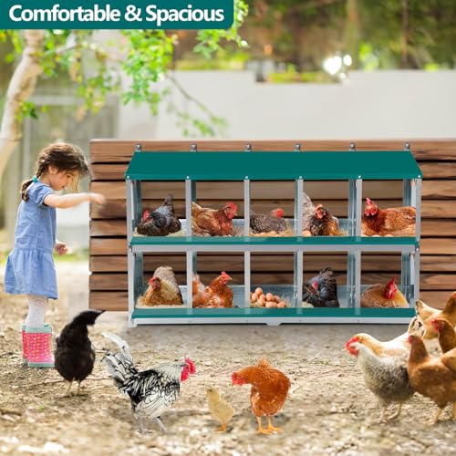 Chicken Nesting Box, 10 Compartment Nesting Box, | 10 Room Metal Nesting Boxes for Chicken, Green
