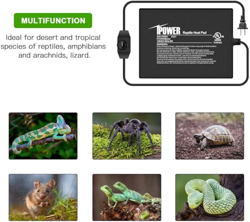 iPower 6 by 8 Inch Reptile Heating Pad with Temperature Adjustable Controller Knob, Under Tank Warmer Terrarium Heat Mat for Reptiles and Amphibians - size: 6 X 8 Inch, style: Heat Pad with Adjust Knob