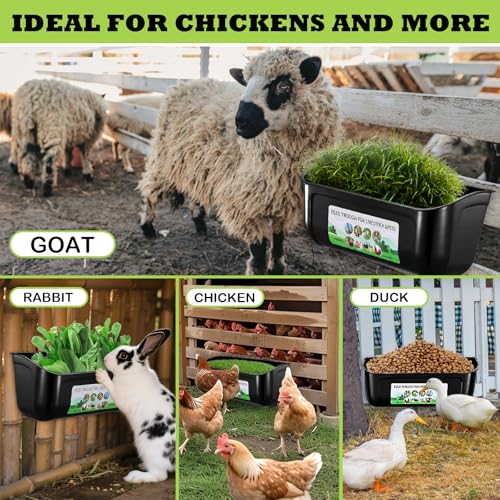 2 Pack Large Goat Feeder, Duck Chicken Feeder Waterer, Hanging Fence Feed Trough with Clips for Goat, Sheeple, Piglet, Gooses, Turkeys, Dog Livestock Poultry, Feed Scoop Included, Black - color: Large Black