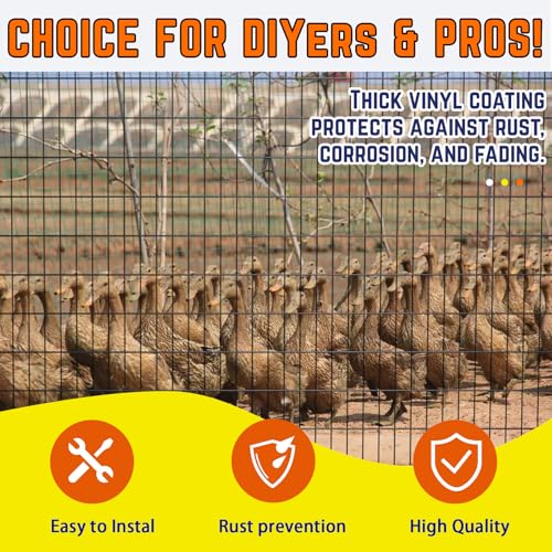 Welded Wire Fence 36inx50ft, 16GA, Mesh Size 2" x 3" Black Hardware Cloth, Chicken Wire Fence, PVC Coated Garden Border Fencing, Vinyl Coating Metal Wire Mesh for Yard, Dog Vegetable, Plant - size: 36inx50ft