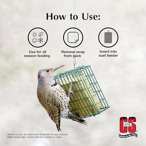 C&S Suet Variety Value Pack, Peanut Delight Dough & Berry Treat, Wild Bird Food, Year Round Source of Energy for Birds, 24 Pack