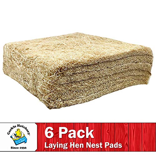 Laying Hen Nest Box Pads Made in USA from Sustainable Aspen Exceslior - 13x13 Nesting Box Liners (6-Pack) - size: 6-Pack