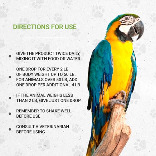 Birds Immunity | Natural Herbal Dietary Pet Supplement for Birds | Immune Support | Alcohol-Free Extract, Elder Flowers, Calendula, Dandelion Root, Rosemary, Fennel 2 oz - style: Immunity