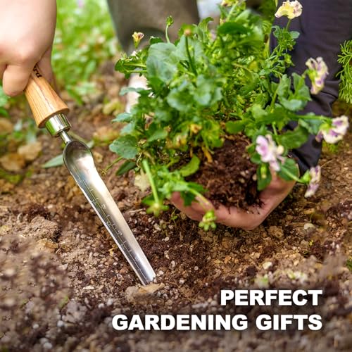 Berry&Bird Seeding Widger,Stainless Steel Seed Dibber Tool with Measuring Scale,Wooden Handle Garden Bulb Trowel for Seed Planting Tool Hand Shovel Planter Transplanter Dibber Soil Digginng | Narrow widger with measuring; ergonomic wood handle & handing l