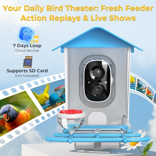 Solar Powered Bird Feeder with Camera: One Full Charge Lasts for Weeks