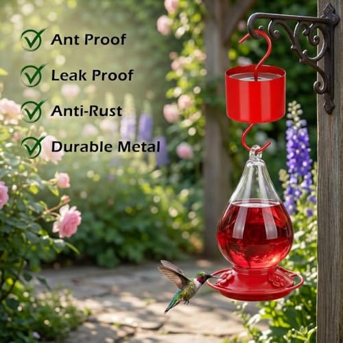 Large Capacity Metal Ant Moat for Hummingbird Feeders (4 Pack) | Heavy Duty Reservoir Ant Guard, Leak-Proof & Rust-Resistant Hooks, Includes 4 Cleaning Brushes, Vibrant Red Garden Décor - size: Large - 4.8 FL OZ