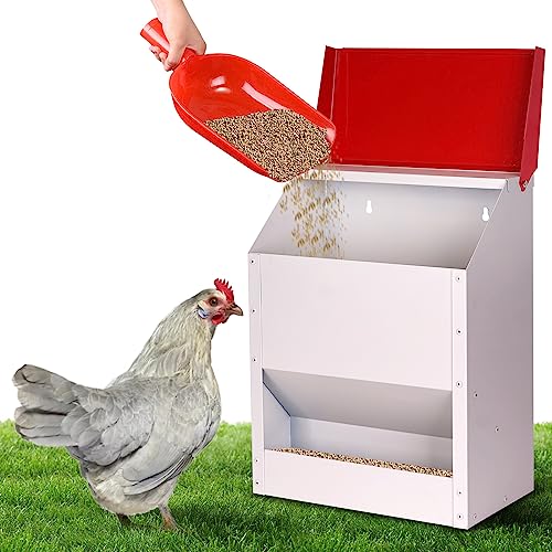 Galvanized Wall Mount Chicken Feeder No Waste Hanging Chicken Feeder with Lid Weatherproof Metal Automatic Poultry Feeder Trough Food Dispenser for Outside Coop (23 lbs)