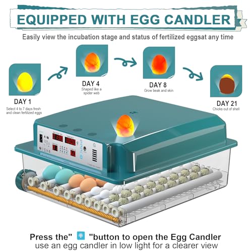64 Egg Incubators for Hatching Eggs,Incubator with Automatic Egg Turning and Humidity,Chicken Incubator with 5 Automatic Incubate Mode,Poultry Egg Incubator with Incubate Day Counter and Egg Candler