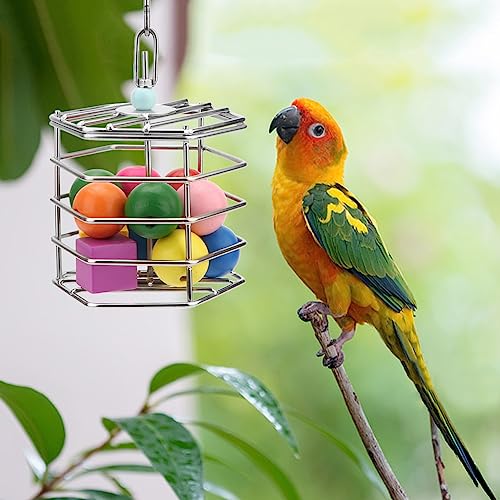 Bird Stainless Steel Foraging Feeder Parrot Hanging Feeding Box for Macaw African Grey Cockatoo Cockatiel Amazon Cage (Foraging Feeder with Blocks)