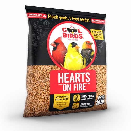 Cool Birds Hearts on Fire Hot Bird Seed, 10 lb | 100% Hulled Sunflower Hearts with Chili Pepper Oil – No Waste Bird Seed for Outside Feeders
