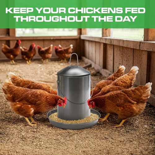 Plexon Automatic Chicken Feeder 2.9KG/6.6lbs – Heavy-Duty 304 Stainless Steel Poultry Feeder, Rust-Proof, Top-Fill Design, Easy to Clean, Weather-Resistant