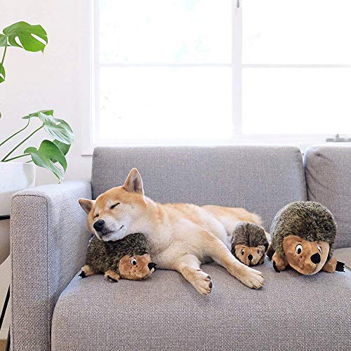 Outward Hound Hedgehogz Stuffed Dog Toy – Soft Plush Hedgehog, Grunts & Squeaks, 12" x 8.5" x 9", X Large (Pack of 12) - size: X Large (Pack of 12)