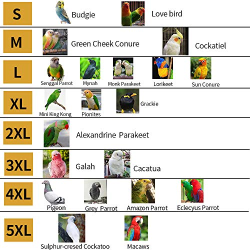 Bird Flight Harness Vest, Parrot Flight Suit with Leash, Bird Flying Clothes with Rope and Handle for Outdoor Activities (Without Leash,Cockatiel) (with Leash, S) - size: S