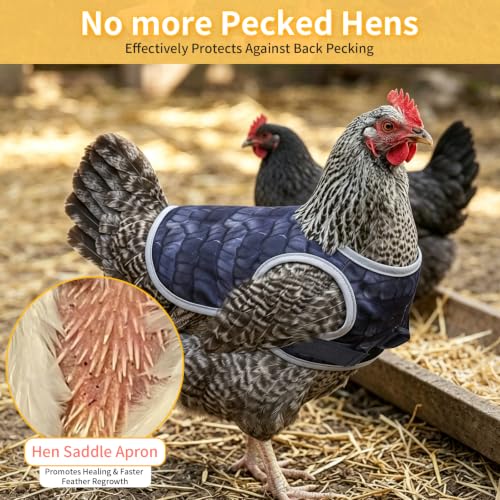 Chicken Saddles for Hens – Adjustable Back Protector with Anti-Peck Straps, Waterproof Oxford Fabric - color: 1-Pack
