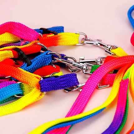 Hypeety Bird Harness and Leash with Buckle Adjustable Bird Vest for Outdoor | Adjustable chest 5.1-12.9'', adorable rainbow design, escape-proof buckles, anti bite training rope for macaw/large bird, M - size: 0.39 × 47.24 in