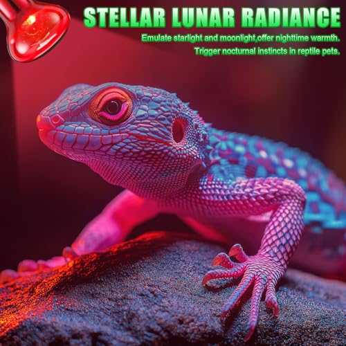 10 Pcs 75w Reptile Heat Lamp Bulb Day and Night Basking Spot Bulb Set UVA Daylight Bulb Amphibian Night Red Infrared Heating Lamp for Turtle Bearded Dragon Lizard Leopard Gecko