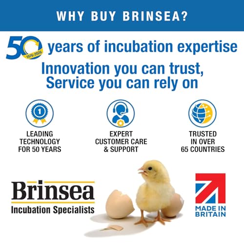 Brinsea Cardboard Hatching Mat for Maxi Egg Incubators, Pack of 6 | Authentic Brinsea Maxi 24 Incubators liner; textured, disposable floor covering helps chicks grip safely during hatching - size: Maxi, 24 Eggs