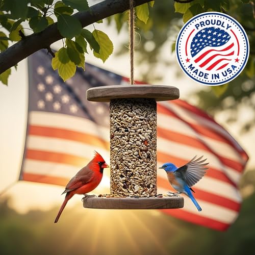 Bugs, Nuts & Berries Bird Seed Cylinders with Hole, Mealworms, 2 Pack | Protein Rich Wild Bird Food with Mealworms, Cylinder Bird Seed, Attracts a Variety of Wild Birds, No Filler, USA Made, 1.5lbs - size: 2-Small
